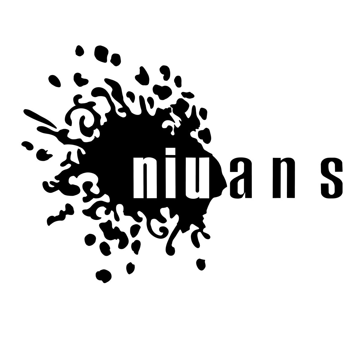 Maciek Niuans