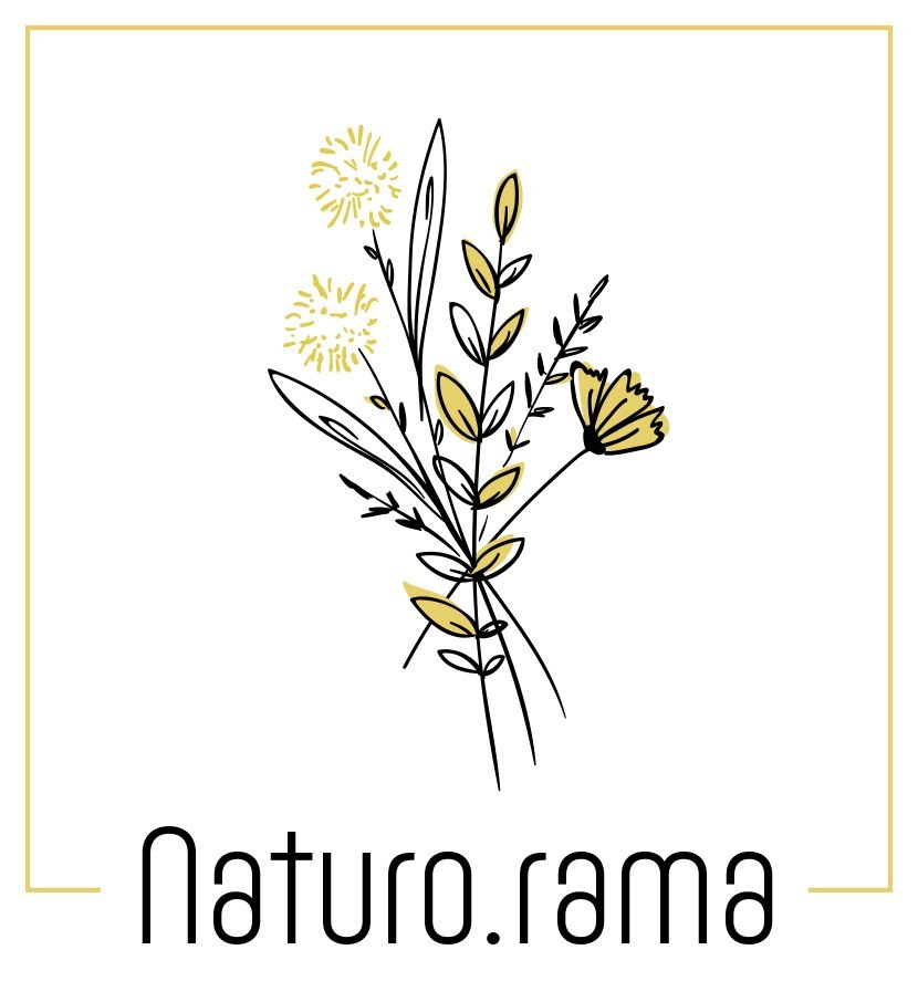 Logo Naturo.Rama