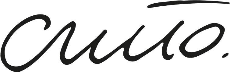 Logo CZUŁO